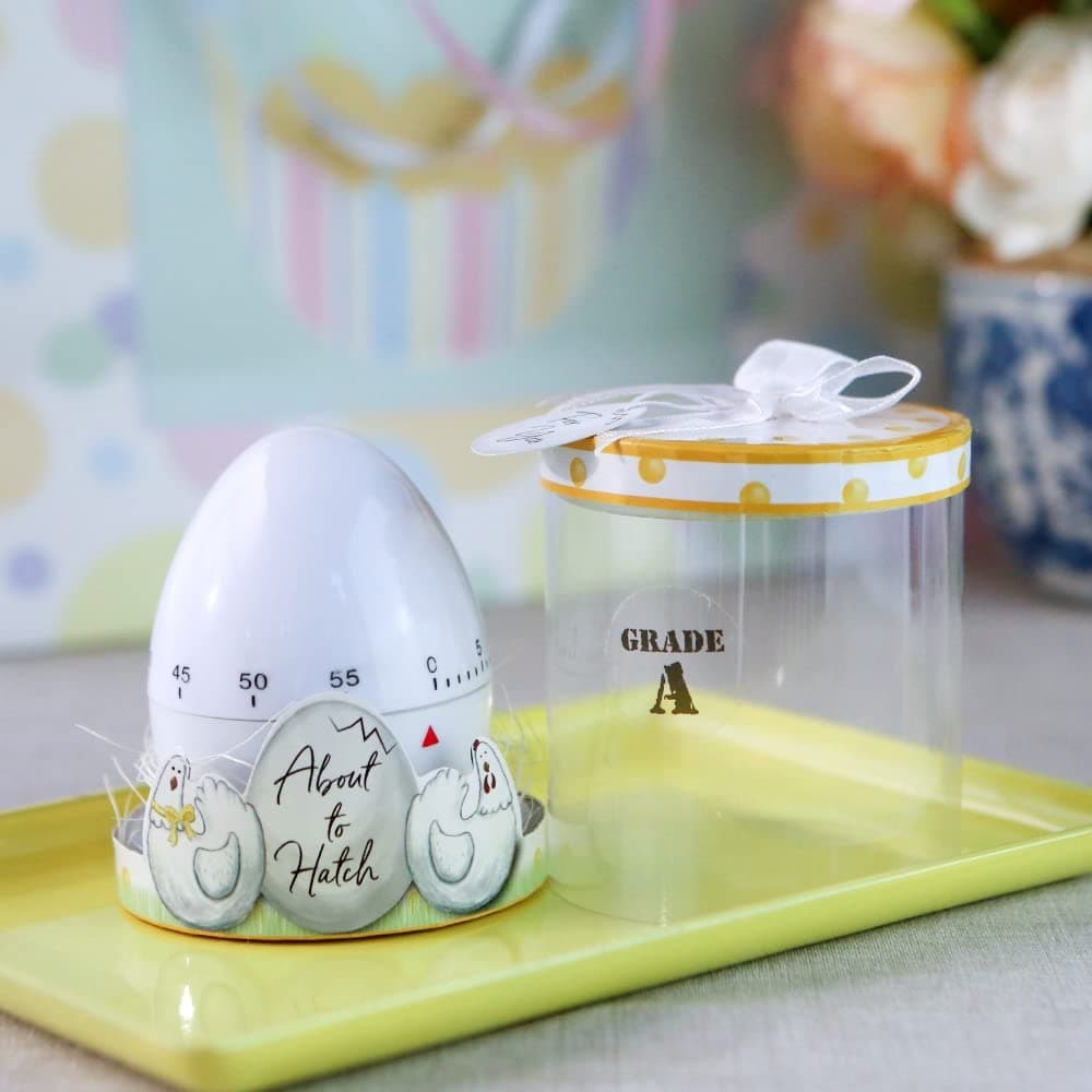 Kate Aspen About to Hatch Kitchen Egg Timer in Showcase Gift Box, White (18216NA), 1 Count (Pack of 1)