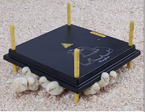 Chick Brooder for upto 20 Chicks + Temp Controller + Drinker + Feeder