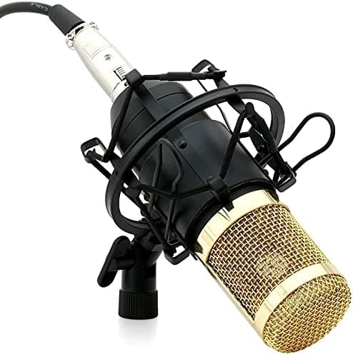 BM 800 Black Professional Condenser Microphone Mic with Shock Mount | Foam Cap | XLR Cable | Sound Studio Recording Dynamic (Phantom Power Required)