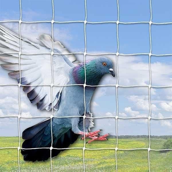 Evafly Bird Net | Bird net for Pigeon for Balcony | Size:6X12 Ft | UV Stabilized Pigeon Net | 15 PLY with Attached Corner Ropes & Cup Hooks for Easy Installation-White