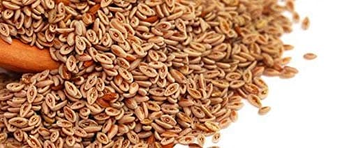 Isabgol/Psyllium Husk Seeds 500g