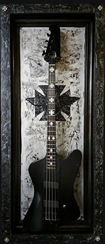 GFrames “Blackbird" Guitar Display Case- 48” Deluxe Guitar Frame w Door