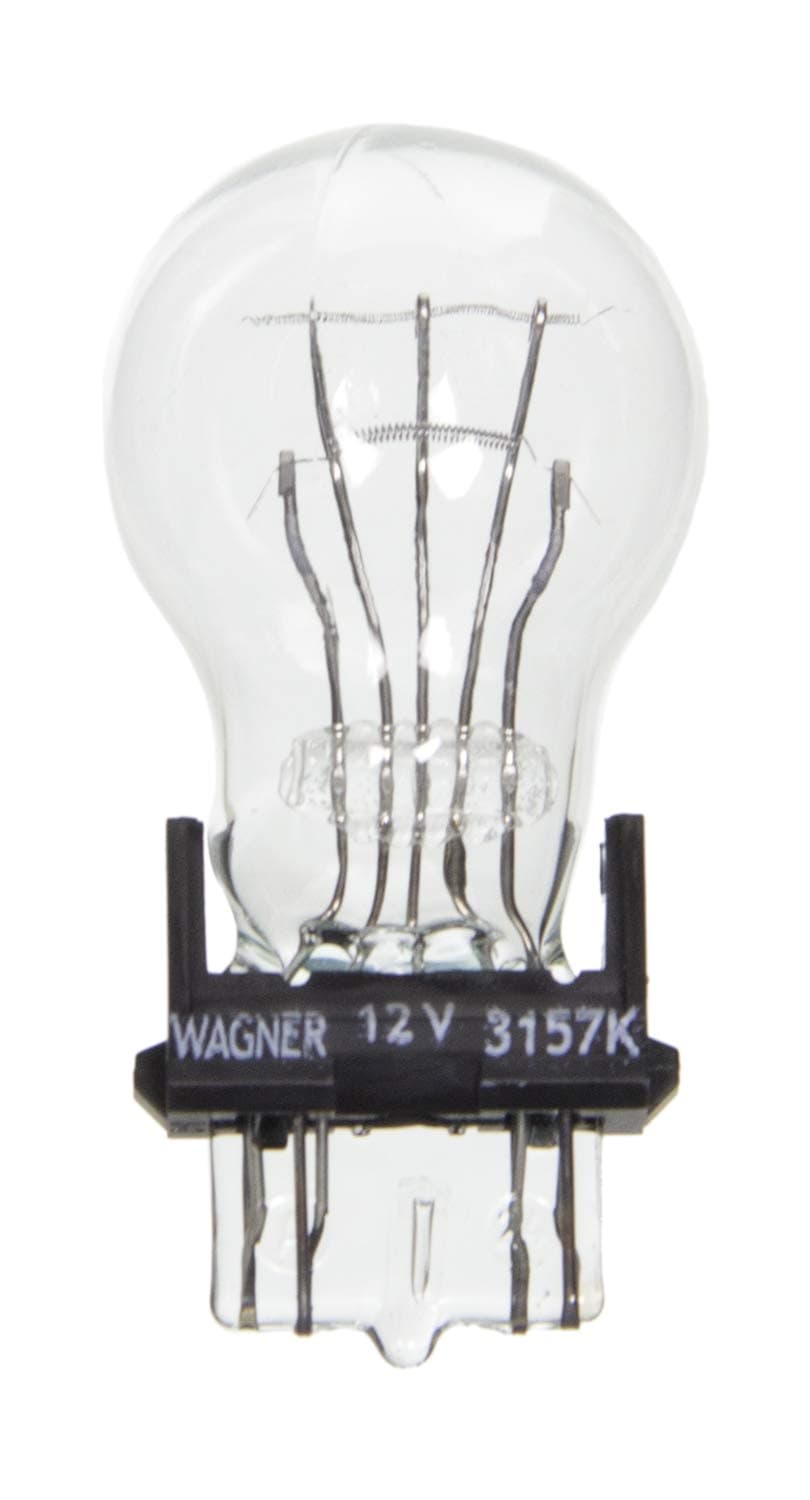 Lighting BP3157LL Long Life Multi-Purpose Light Bulb Card of 2