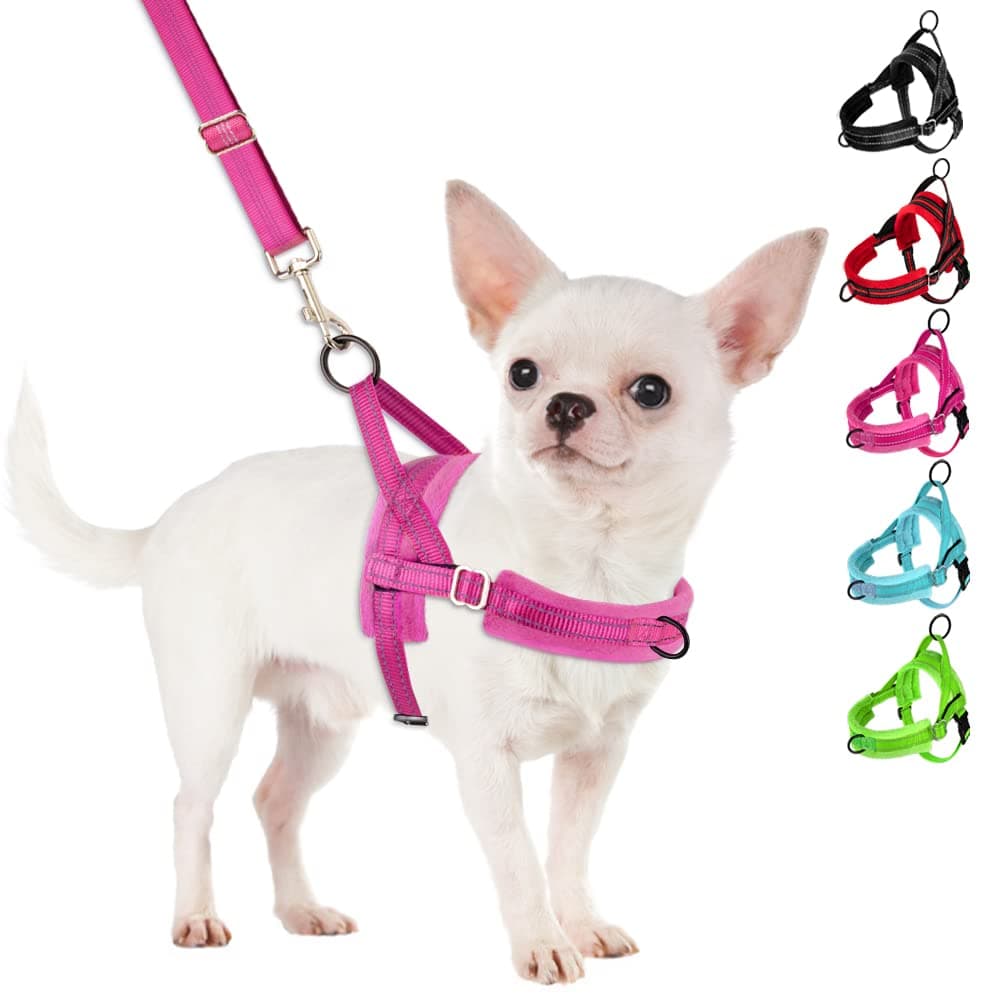 SlowTon No Pull Small Dog Harness and Leash Set, Puppy Soft Vest Harness Neck & Chest Adjustable, Reflective Lightweight Harness & Anti-Twist Pet Lead Combo for Small Medium Dogs (Fuchsia, S)