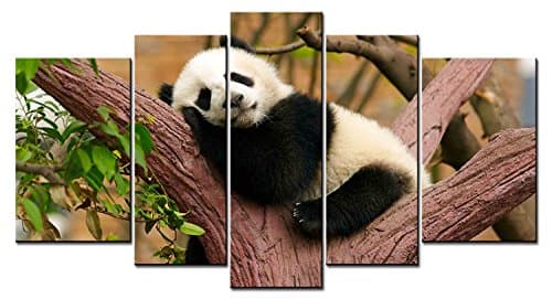 5 Panel Giclee Canvas Panda Sleep On The Tree Pictures Prints On Canvas Paintings for Home Wall Decor Ready to Hang