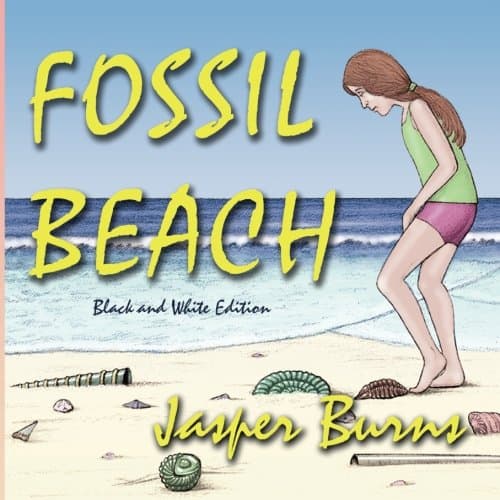 Fossil Beach: Black and White Edition