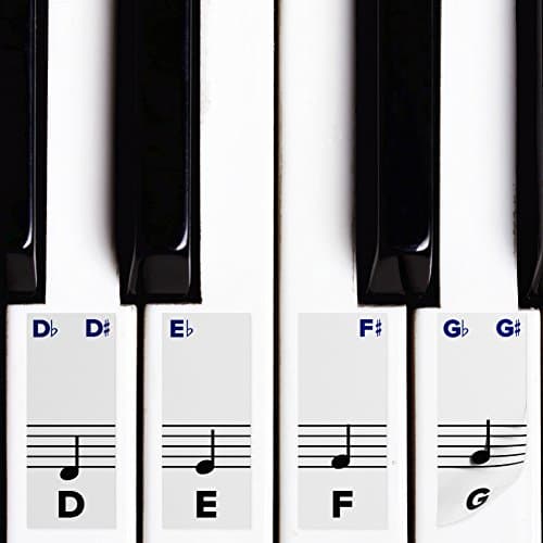 Piano Stickers for Keys w/Complete Printed Notes on Grand Staff – Removable w/Double Layer Coating for 49/61 / 76/88 Keyboards