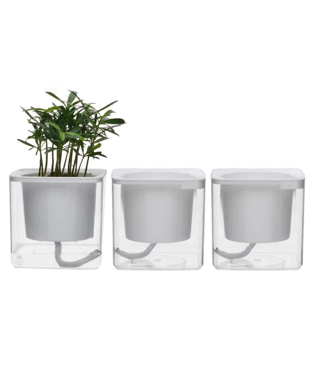 Mini Self Watering Planter