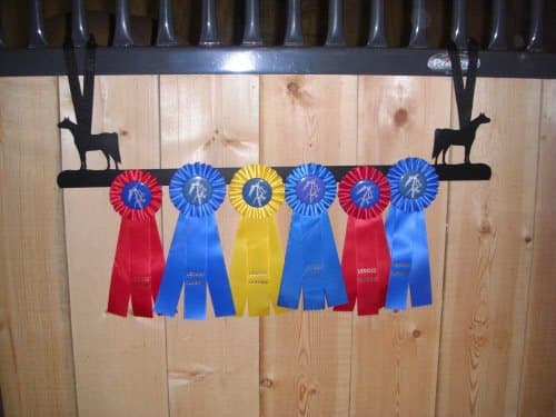 Showoff award racks - Horse