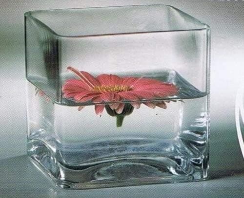 JLGLASS Square Clear Vase, 4"