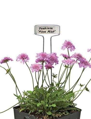 Standard Markers, Set of 25