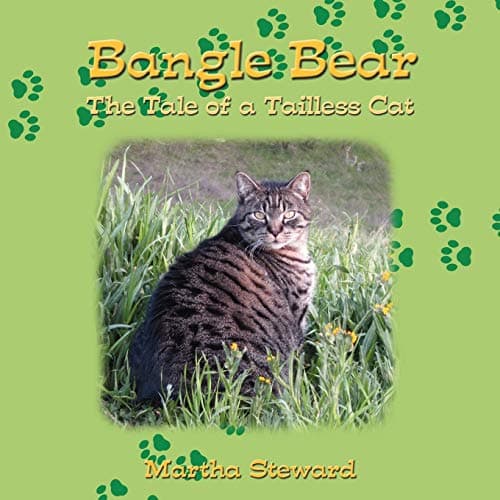 Bangle Bear: The Tale of a Tailless Cat