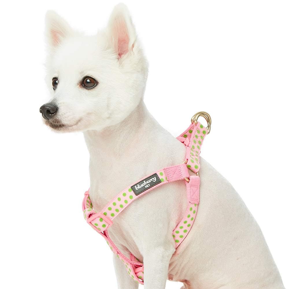 Blueberry Pet 4 Patterns Step-in Velvety Polka Dot Flocking Dog Harness in Baby Pink, Chest Girth 20" - 26", Medium, Adjustable Harnesses for Dogs