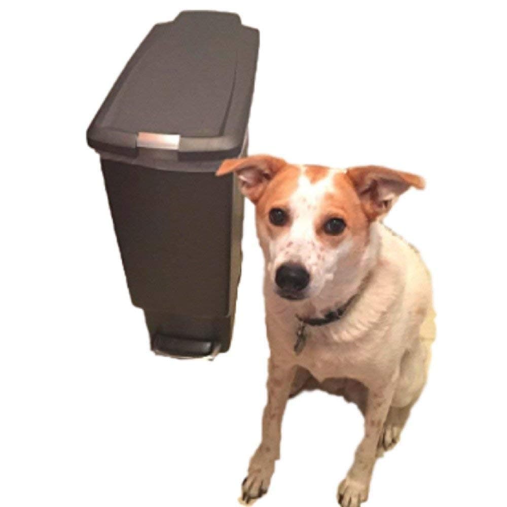 Locking Trash Can Dog-Proof 10 Gallon Kitchen Rubbish Step Tall Slim with Lock Lid Garage & eBook by OISTRIA