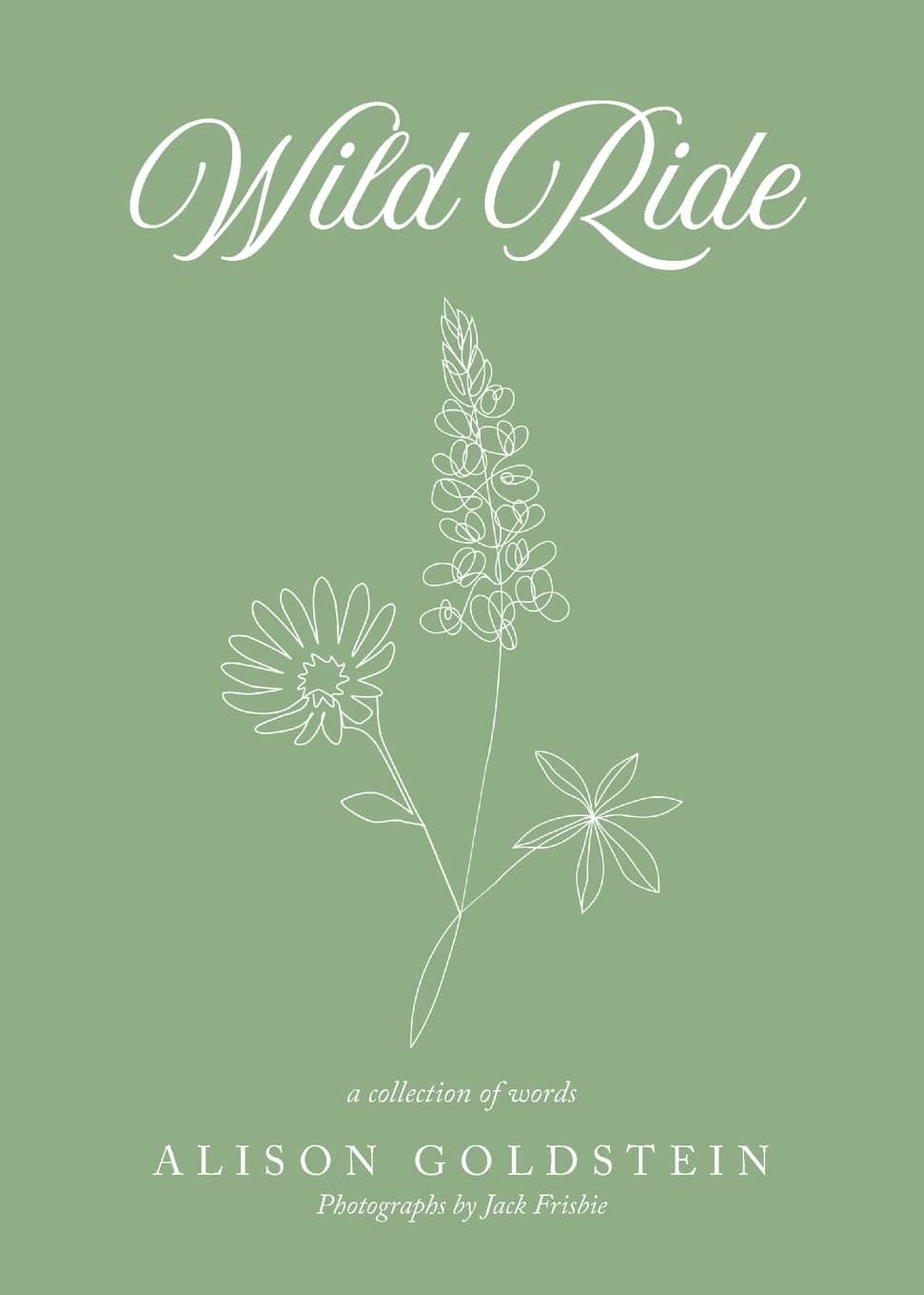 Wild Ride Paperback – June 30, 2022