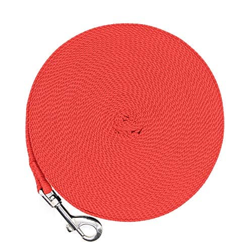 Justzon Cotton Web Dog Training Lead Black