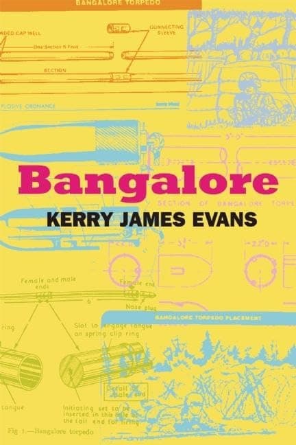 Bangalore Paperback – 14 Nov. 2013