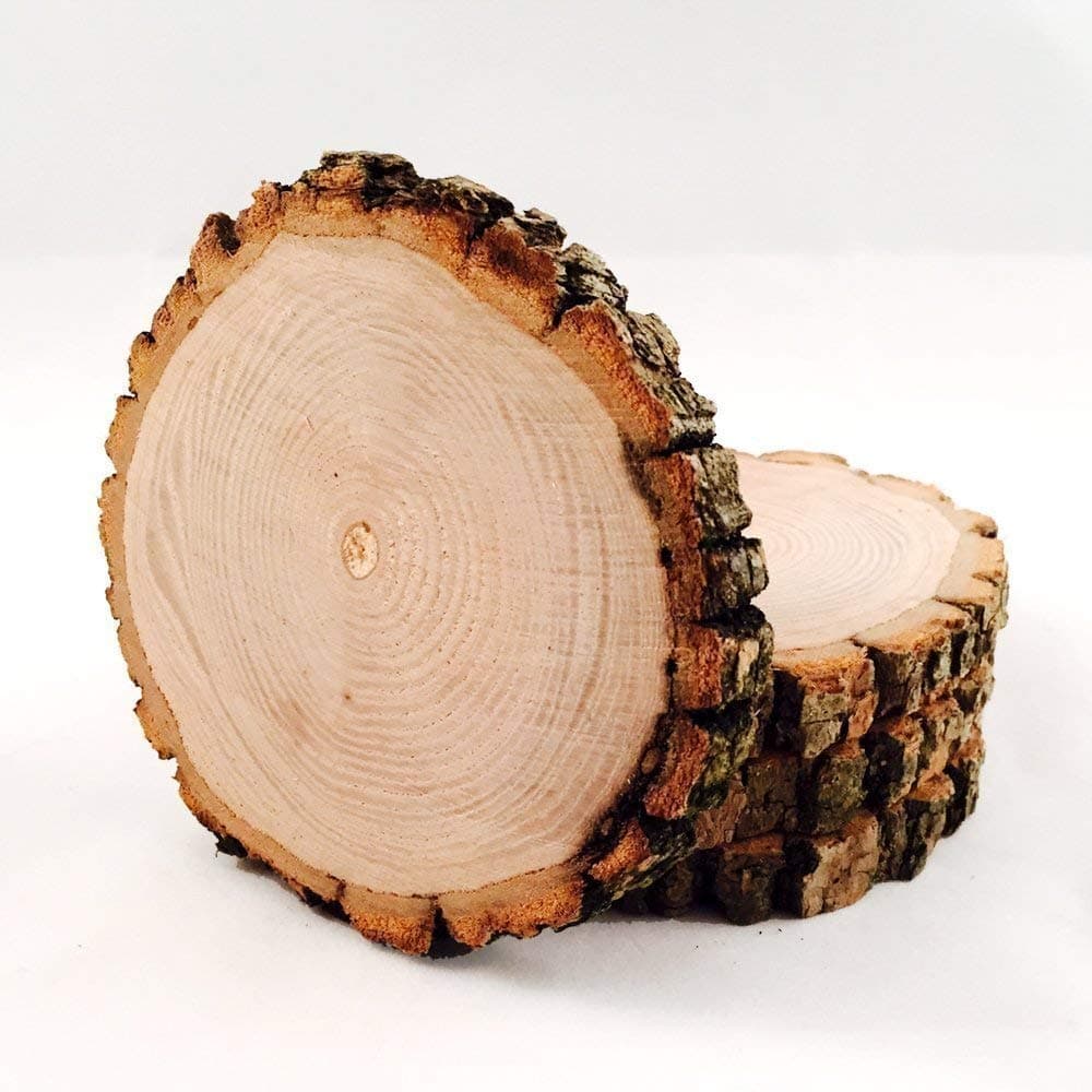 Unfinished and Unsanded Natural Tree Wood Coasters (4-Pack)