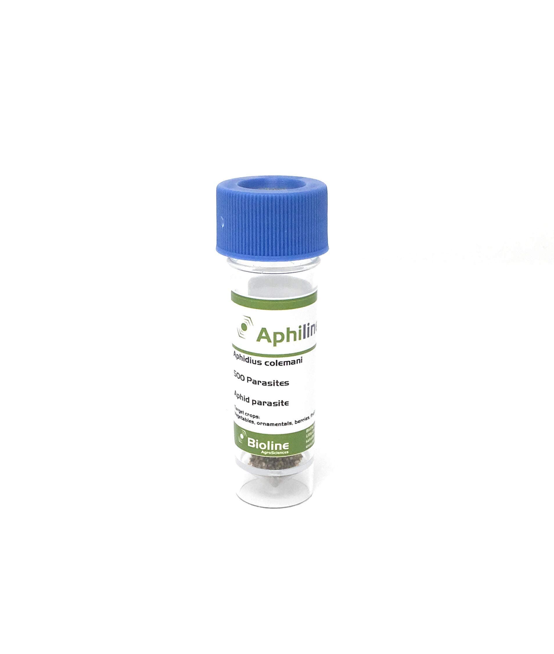 Aphid Killer-aphidius colemani Large pack min 500 parasites