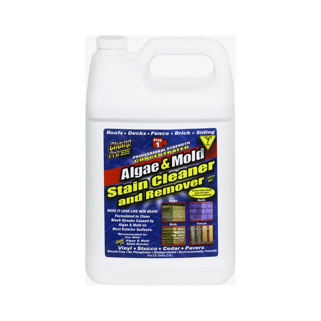 162822 53034 1G Algae & Mold Cleaner