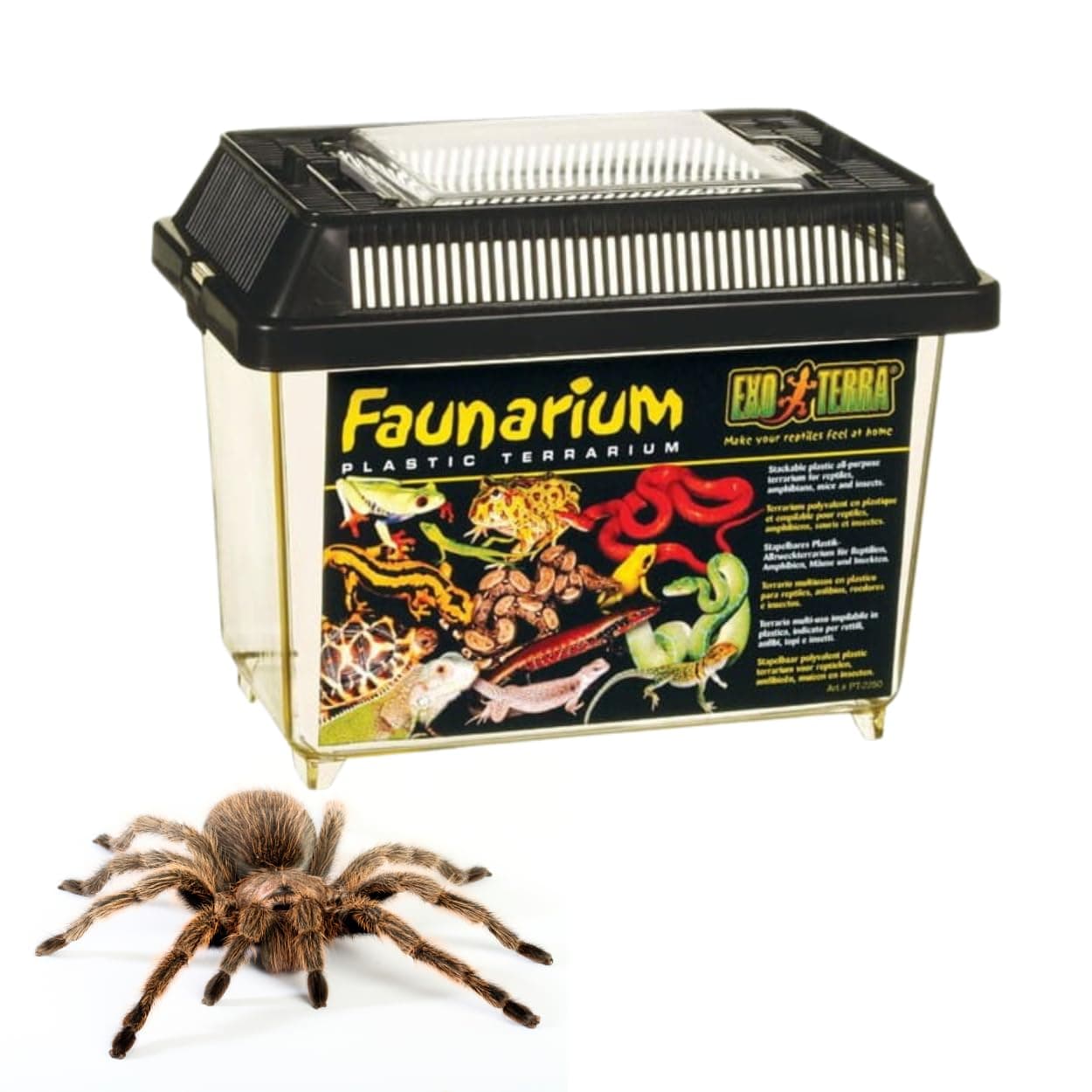 Standard Faunarium Small