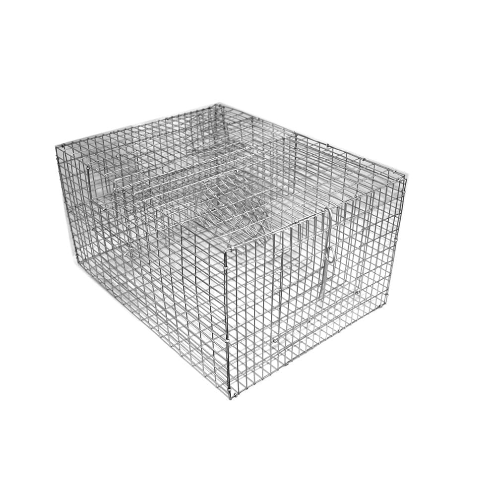Bi-Level Sparrow Trap - Spacious Two-Chamber 8"x12"x16" Cage - Efficient Multiple Capture Design - Durable & Lightweight (4 lbs) - Humane Bird Control