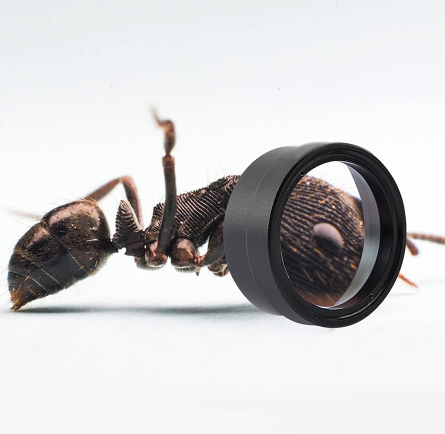 Magnifying Glasses for Reading, 8X Handheld Magnifying Glass for Visually Impaired, Elderly, Quality Magnifying Glass with Light- Senior Citizen Gifts