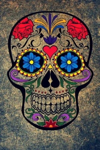Sugar Skull Journal: 160 Page Lined Journal/Notebook Paperback – August 8, 2015