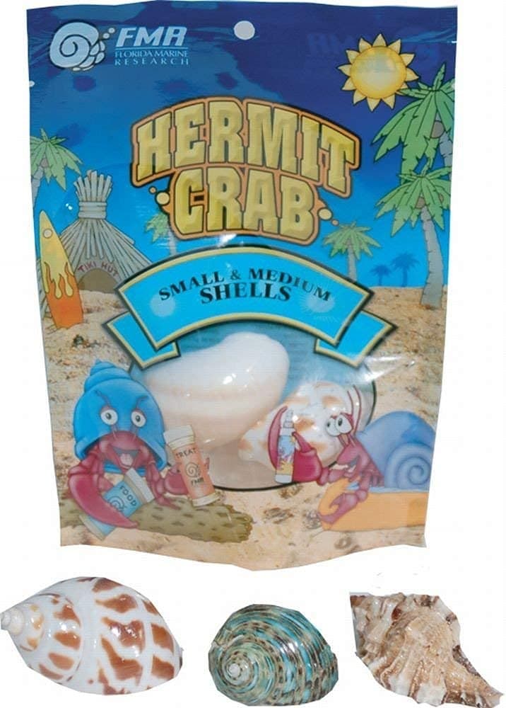 Florida Marine Research SFM33332 Medium Hermit Crab Shell - 3 Package 6 Pieces