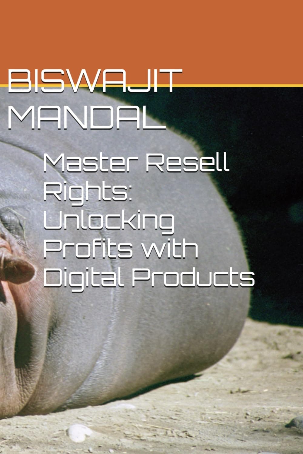 Master Resell Rights: Unlocking Profits with Digital Products