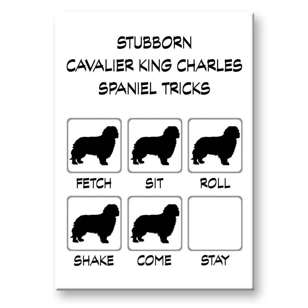 Cavalier King Charles Spaniel Stubborn Tricks Fridge Magnet