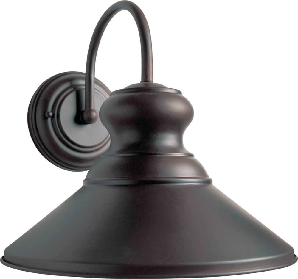 Forte Lighting 1227-01-32DS Transitional 1-Light Exterior Dark Sky Wall Mount, Antique Bronze Finish