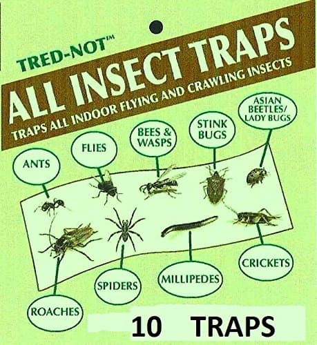 10 Pk Camel Cricket/Roach/Scorpion Sticky Traps