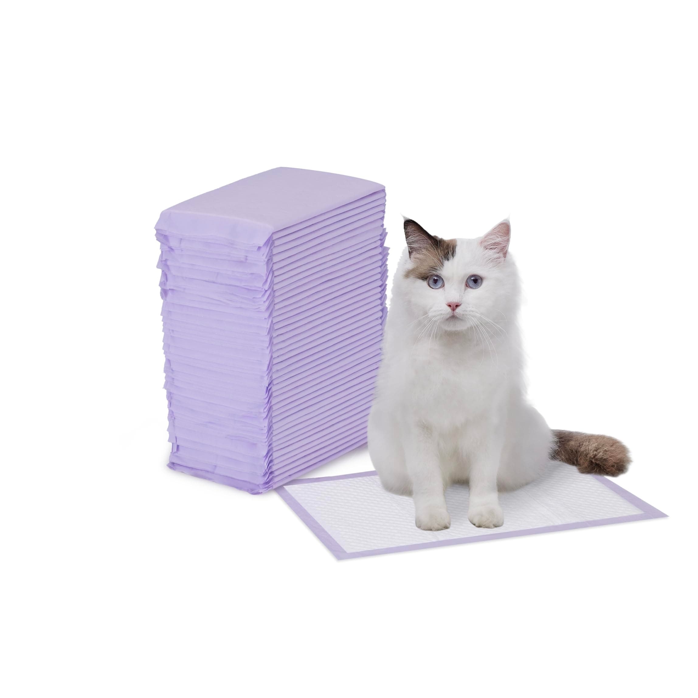 Amazon Basics Cat Litter Pee Pads, Super Absorbent, Odor Control with Lemon Scent, Disposable, Universal Fit for Multi Cat Litter Box, Purple and White, 40-Pack