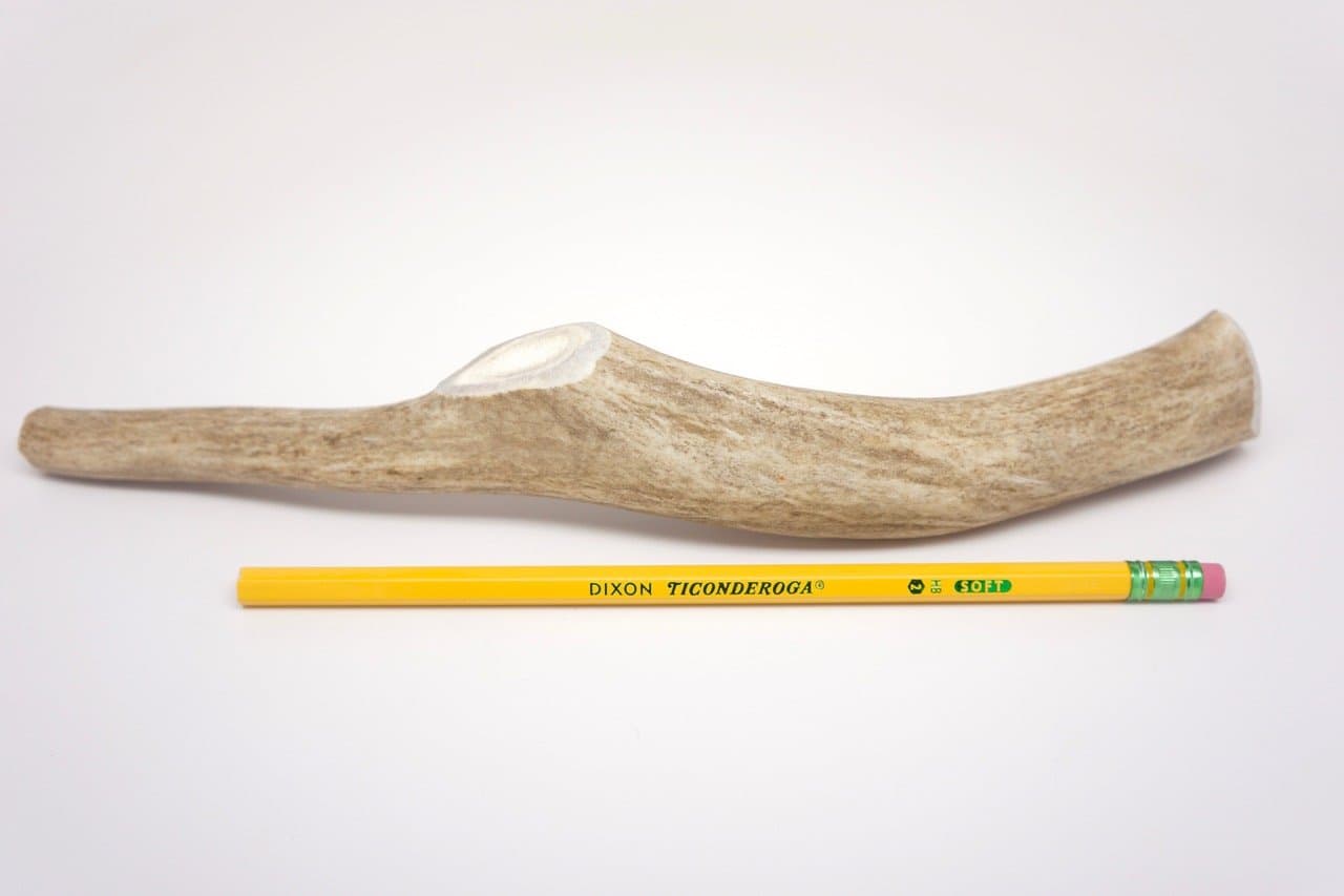 ONE (1) Medium/Large Deer Antler Chew Bone for Dogs, 8" - 10, Antler Chews for Medium to Large Dogs up to 60 pounds, Made in The USA from Wild Colorado Deer elk Natural raw Diet Grade A Premium