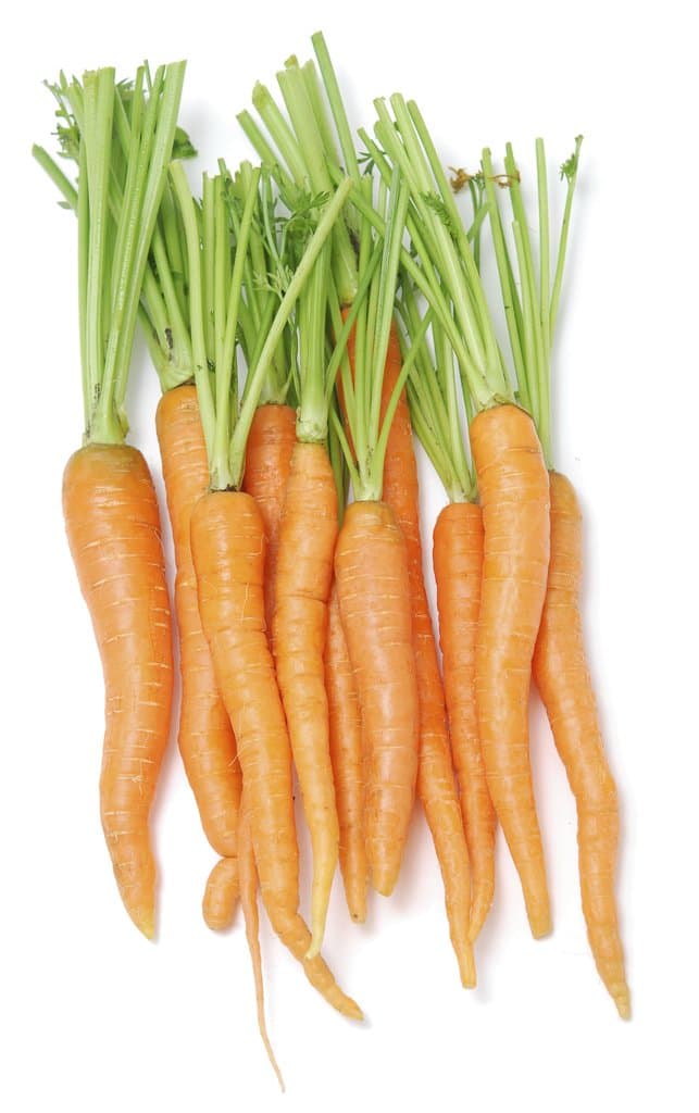 Local Organic Carrots, 2 Pounds