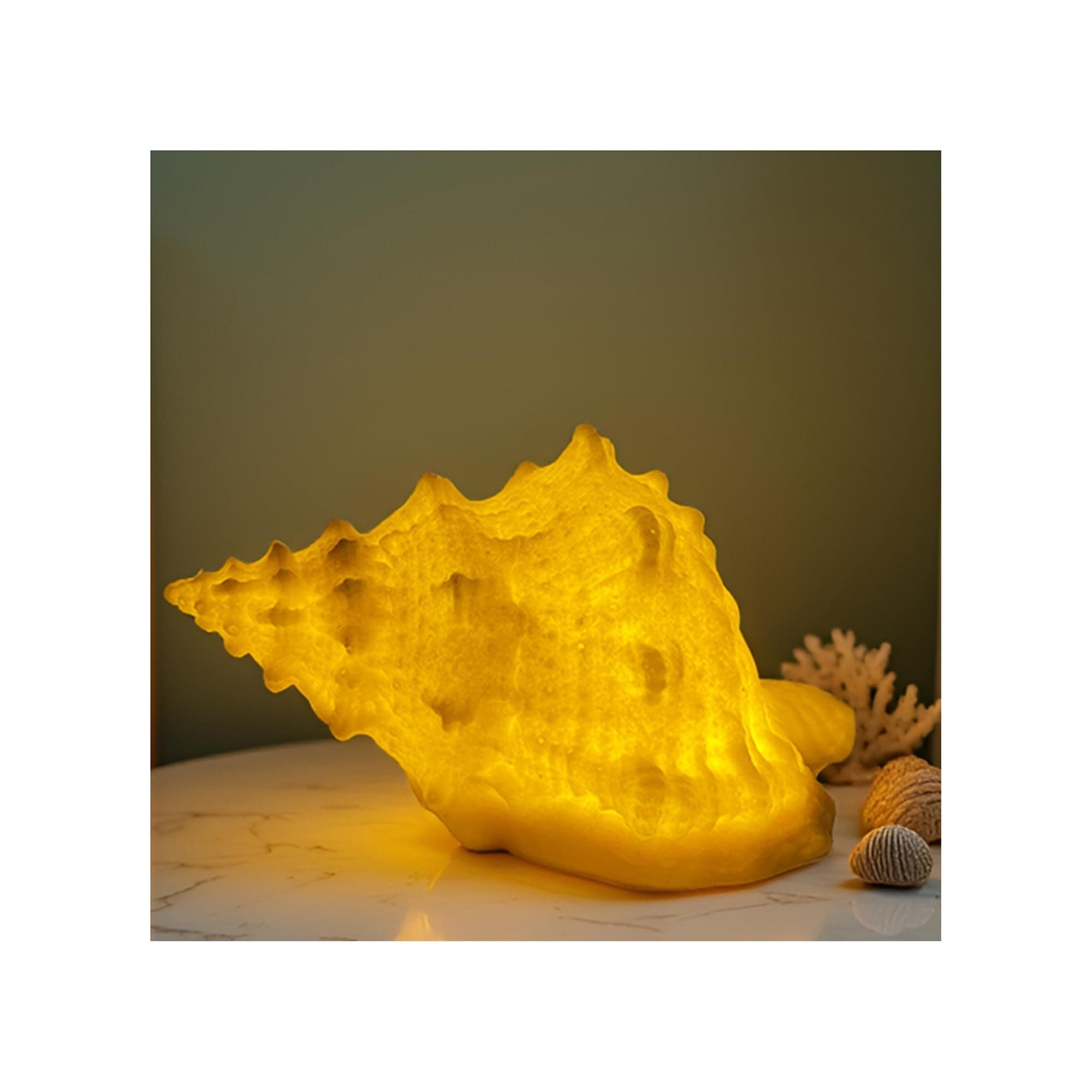 Shell night light