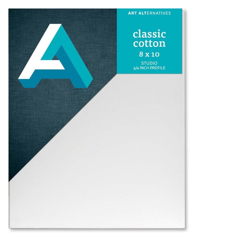 ART ALTERNATIVES CNVS CLASSIC STUDIO 8X10 (10)
