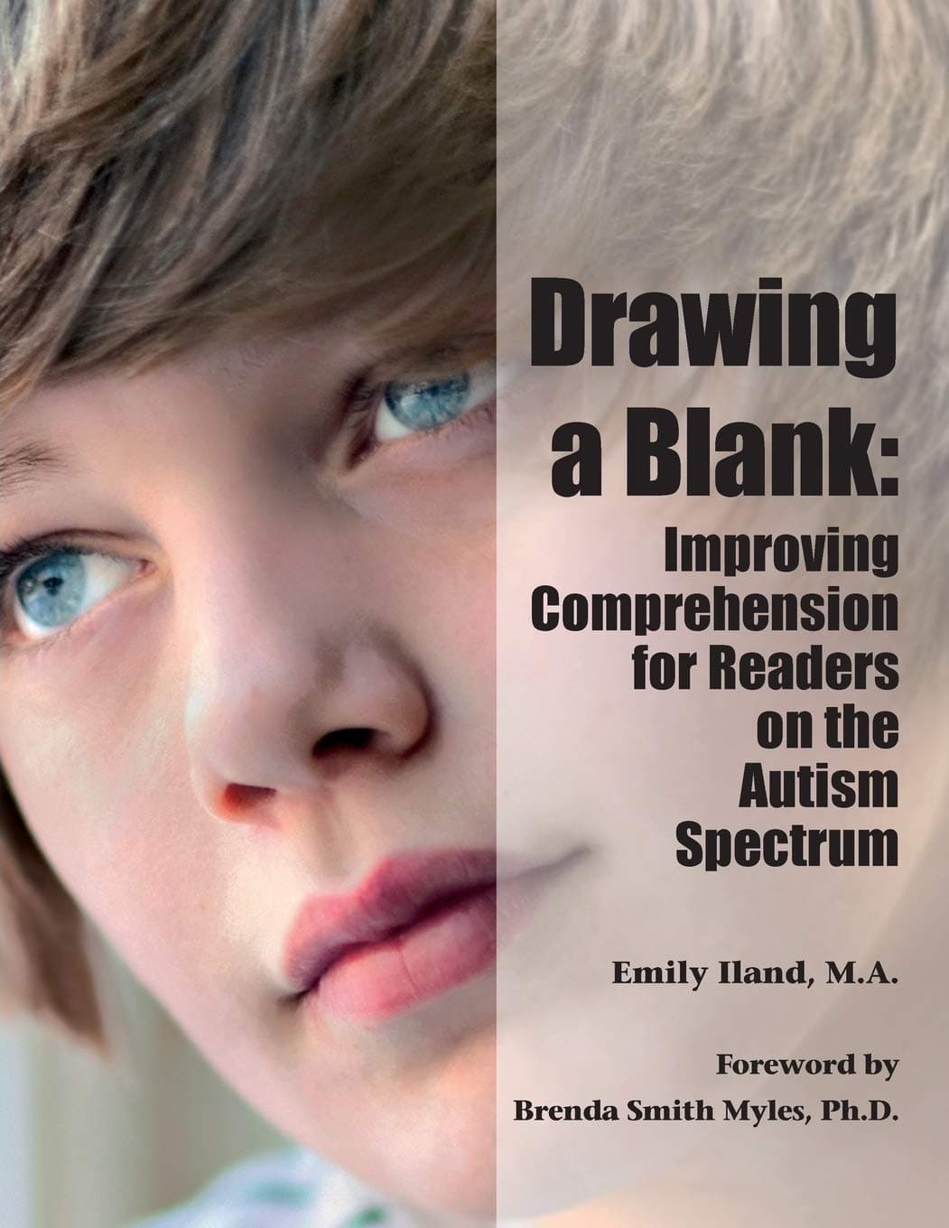 Drawing a Blank: Improving Comprehension for Readers on the Autism Spectrum Paperback – January 16, 2015