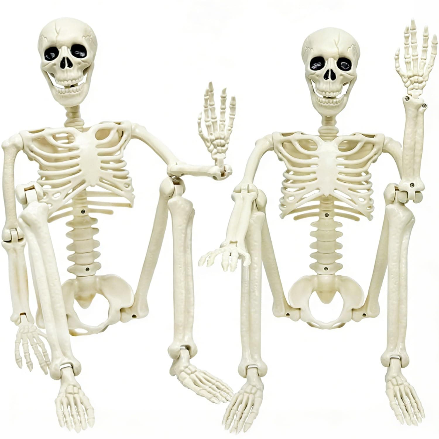 2PACK 36" Skeleton Halloween Decorations, 3ft Life Full Size Skeleton with Realistic Posable Movable Joints for Halloween Haunted Houses, Lawn, Graveyard
