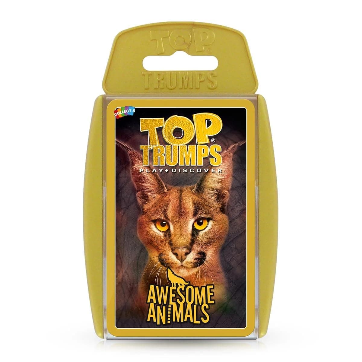 Winning Moves Awesome Animals Card