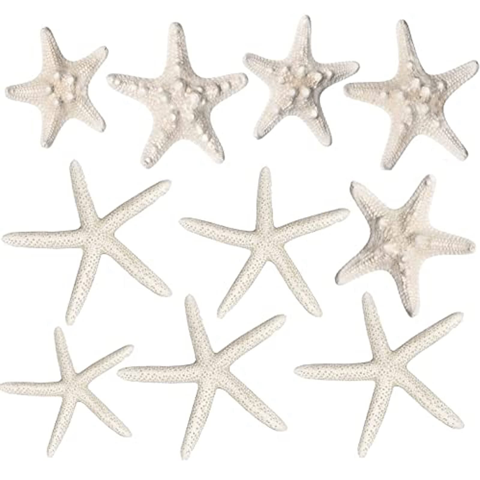 Starfish Decor - (10/12) Pack Assorted Star Fish - Starfish for Crafts - White Starfish Wall Décor - Beach Wedding Starfish - Beach Starfish Décor - Star Fish Decorations - Shells for Decoration (10)