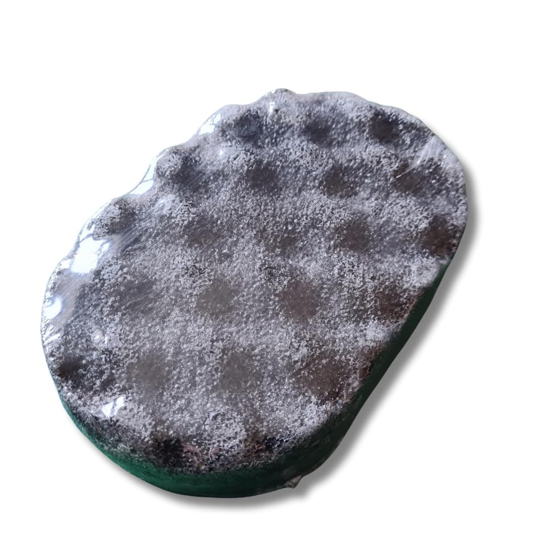 Soap Filled Exfoliating Sponge Perfume Scented (Black Opeum)