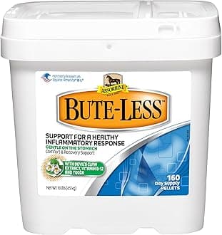 Bute-Less Comfort & Recovery Support Supplement, Provides Long-Term Comfort, Gentle on Stomach, Includes Devil’s Claw, Vitamin B-12, Yucca, 10 lb / 160 Day Supply