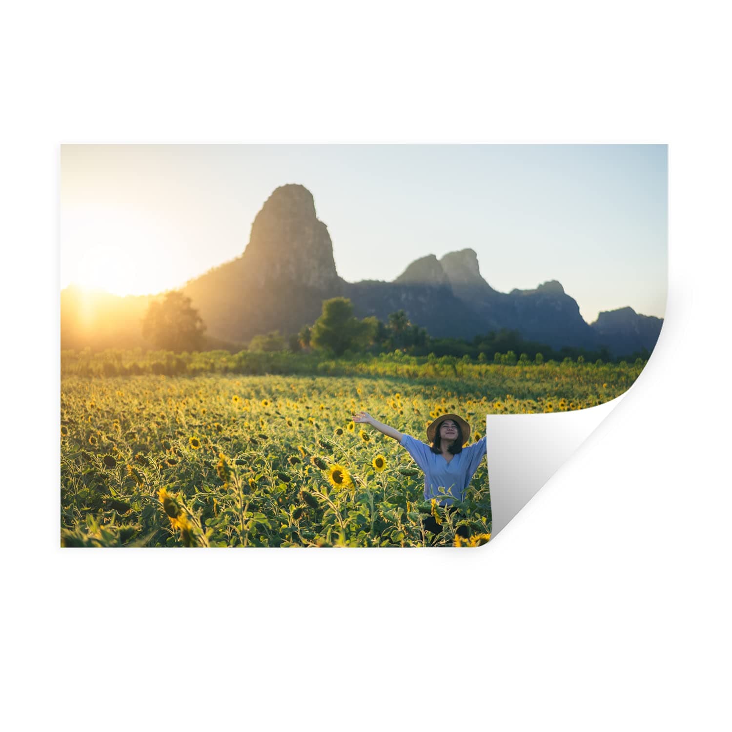 Net-Access Extended Switch Cabinet - rack - 42U - Centernex update