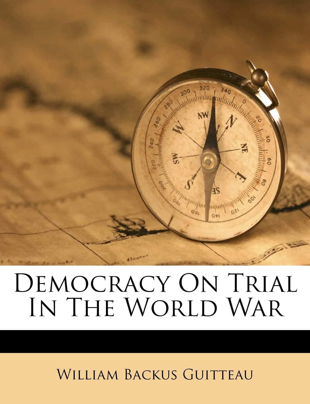 Democracy on Trial in the World War
