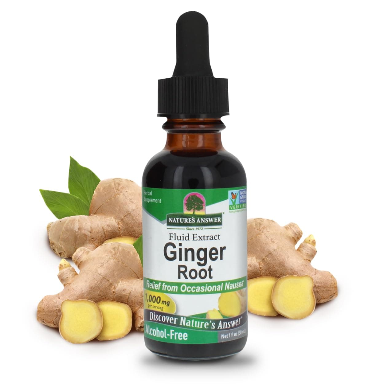 Alcohol-Free Ginger Root, 1-Fluid Ounce | Inflammatory Support | Supports Digestion