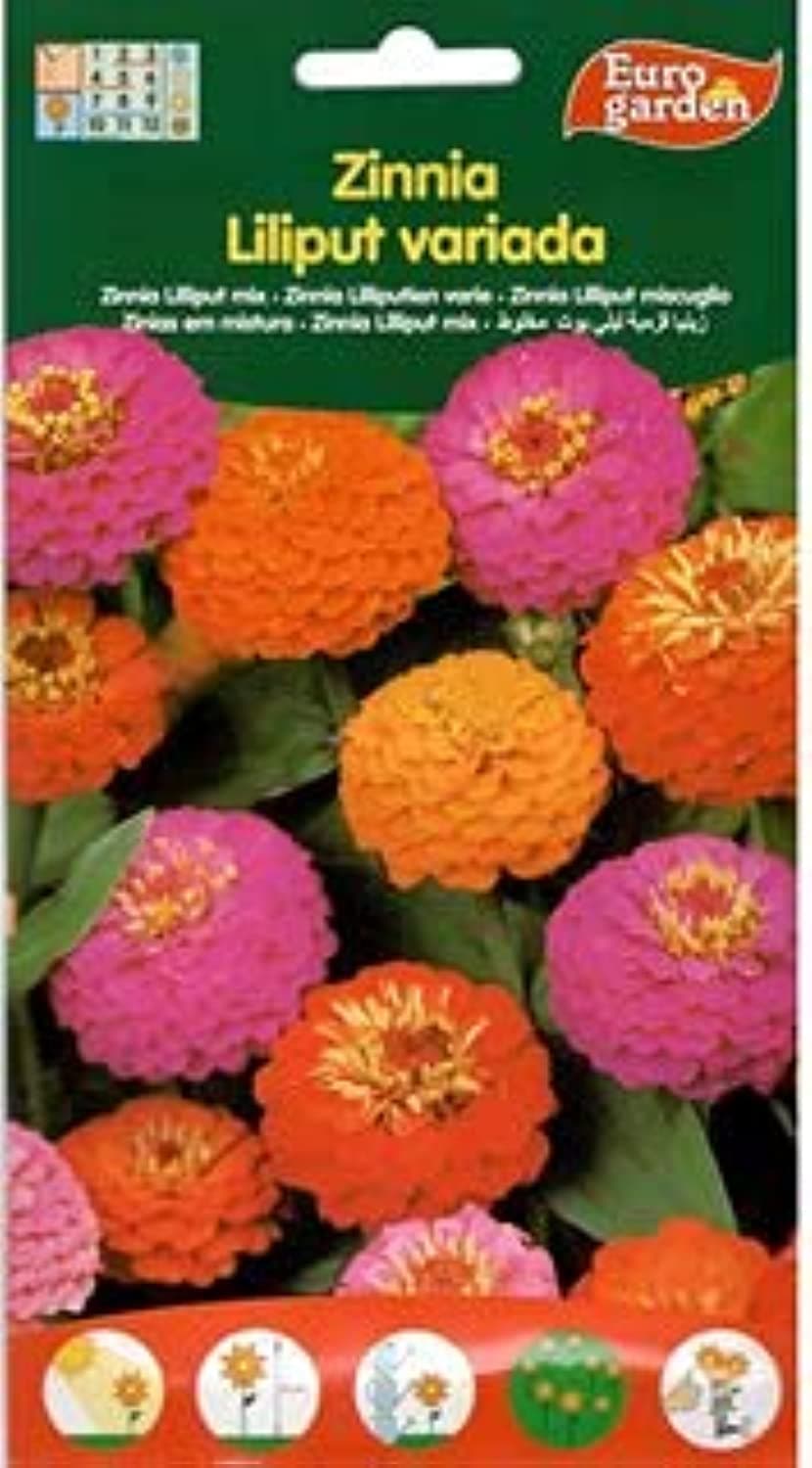 Euro Garden Zinnia Lilliput Mix