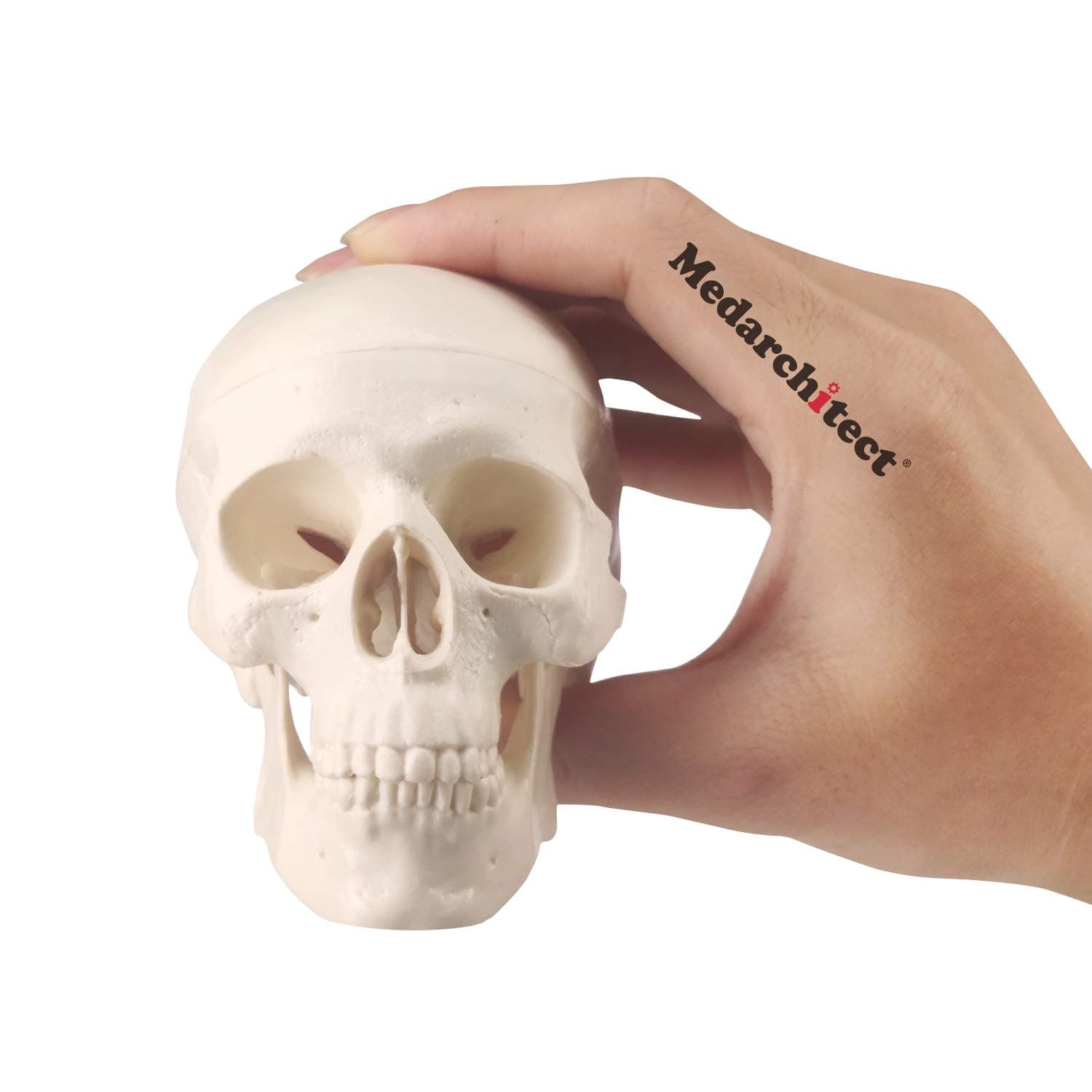 Mini Skull