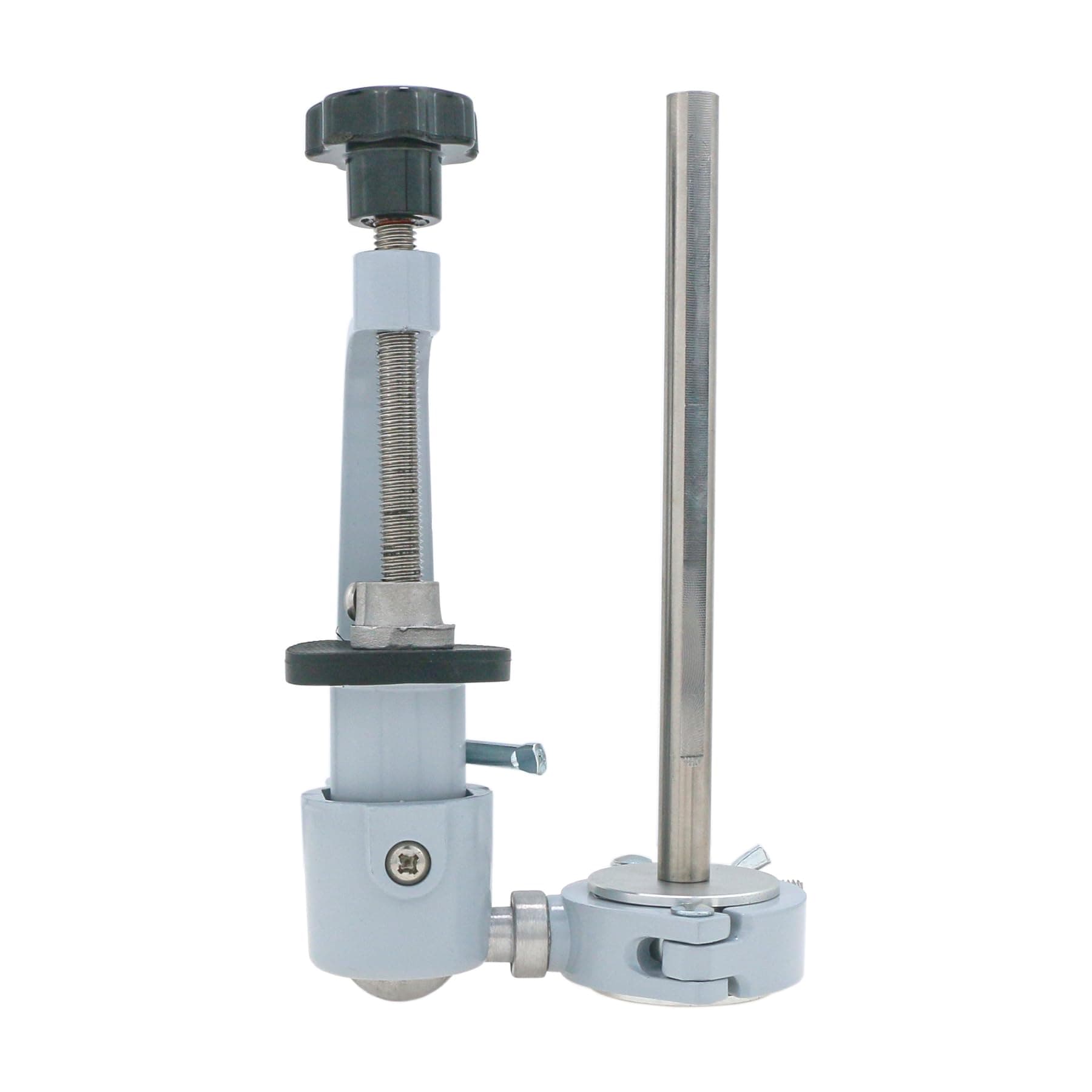 Typodont Teeth Model Teeth Model Training Mount Fixed on Desk Training Manikin for Dental Schools Education Practical Typodont 360° Motion